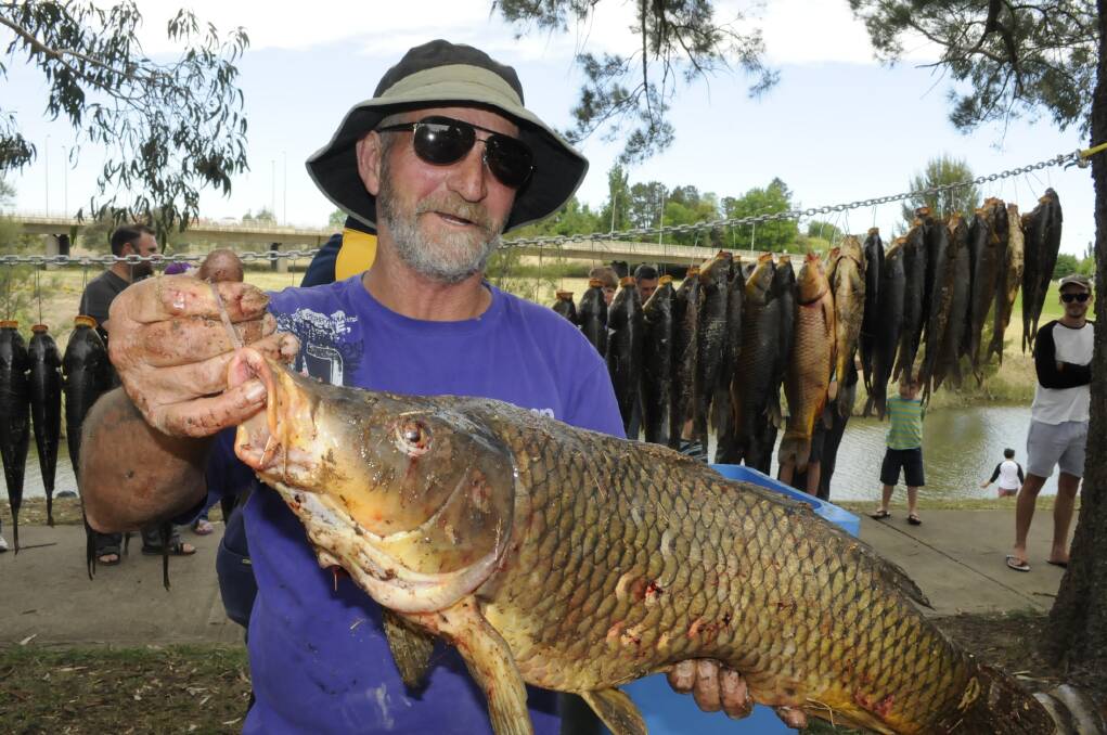 CARP BLITZ: Rod Evans with his 7.9kg carp, caught near Eglinton.
