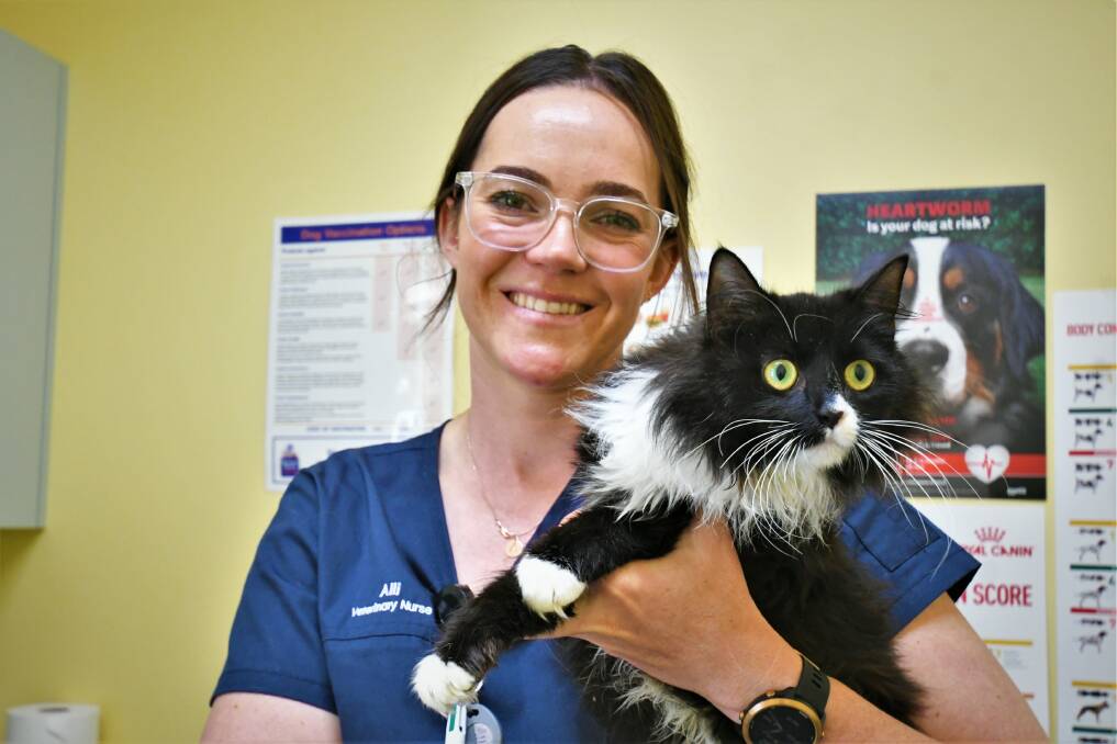 DESEX YOUR PET: Stewart Street Veterinary Hospital vet nurse Alli Hundy with an adoption. Photo: CHRIS SEABROOK.