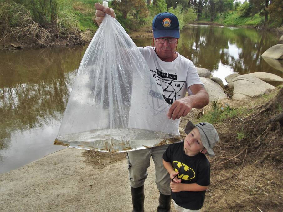 FISHLINGS: Peter Wright with junior member Noah Allman about to release the fingerlings into the Macquarie River. Photo: SUPPLIED.