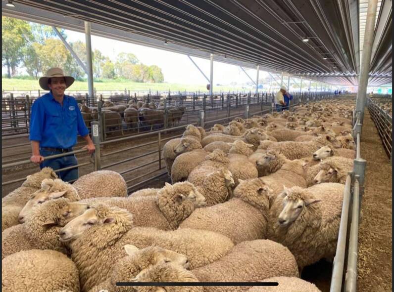 HIGH PRICES: Stock and station agent James Hagney expects stock prices to stay high which is a positive for farmers. Photo: SUPPLIED.