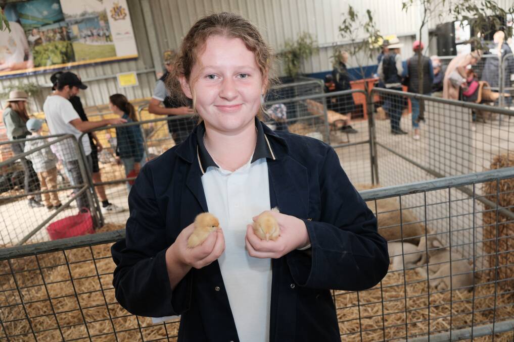 Bathurst High Year 11 student Jess Nakad with two of the chicks on display in the nursery at the 2024 Royal Bathurst Show on April 14. Picture by James Arrow 