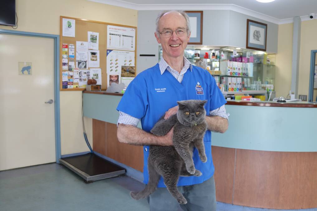 Stewart Street Veterinary Clinic partner Ewald Jooste with Buttons the cat. Picture by Amy Rees 