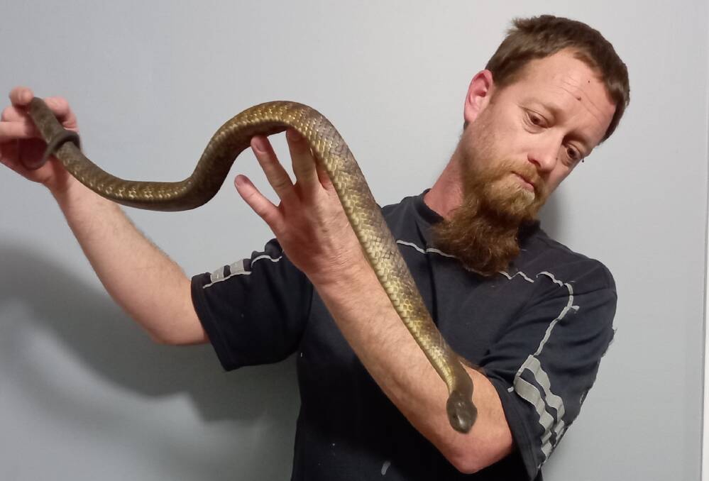RULES OF ENGAGEMENT: Snake catcher Joel Turnbull urges people to stay calm and walk away if they encounter a snake. Photo: SUPPLIED