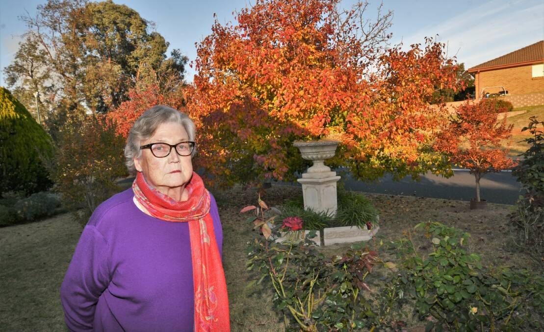 TREES AT RISK: Jenny Haynes with her manchurian pear trees showing their full display of autumn brilliance. Photo: CHRIS SEBROOK 042821ctrees