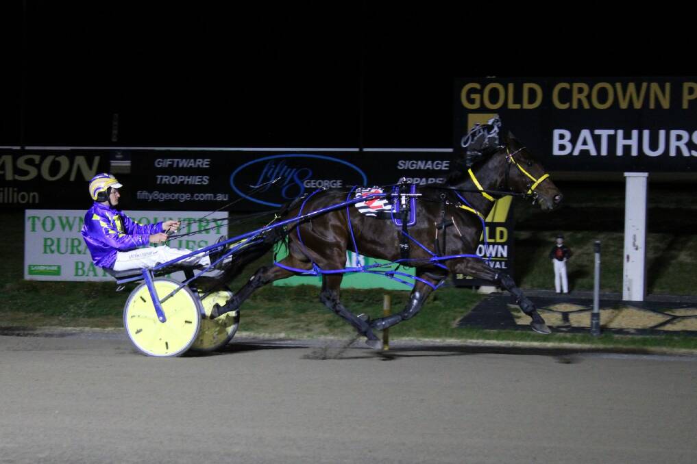 TOUGH RUN: Anthony Frisby drove Aphorism to a strong third in the Group 3 P J Hall FFA at Menangle on Saturday night.