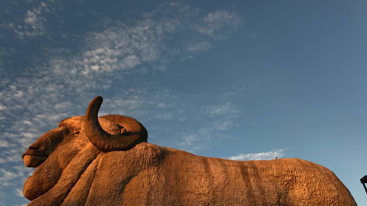 The Big Merino in Goulburn is popular pitstop off the Hume Highway between Canberra and Sydney. Picture: Marina Neil