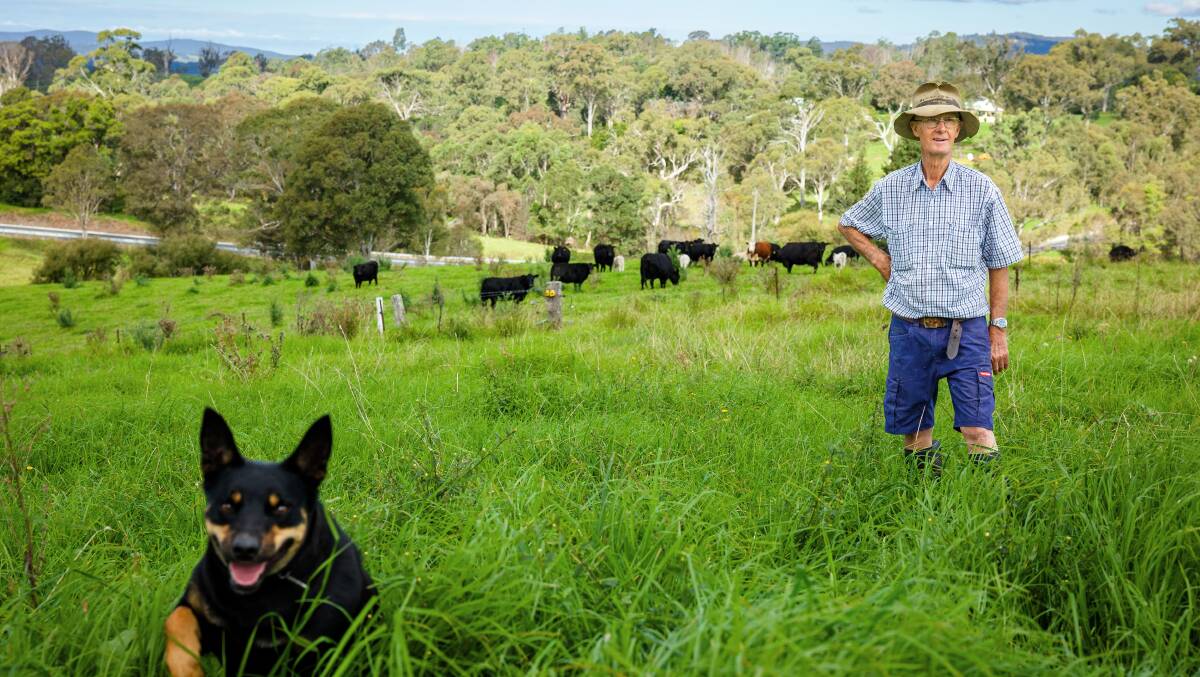 Beef farmer Rex Hergenhan from Bega with his kelpie Nola. Picture: Sitthixay Ditthavong