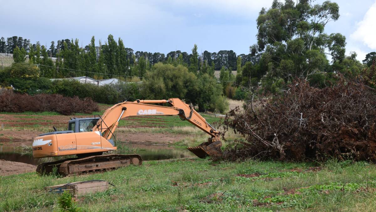 Excavator and the destroyed apple trees. Picture by Carla Freedman. 