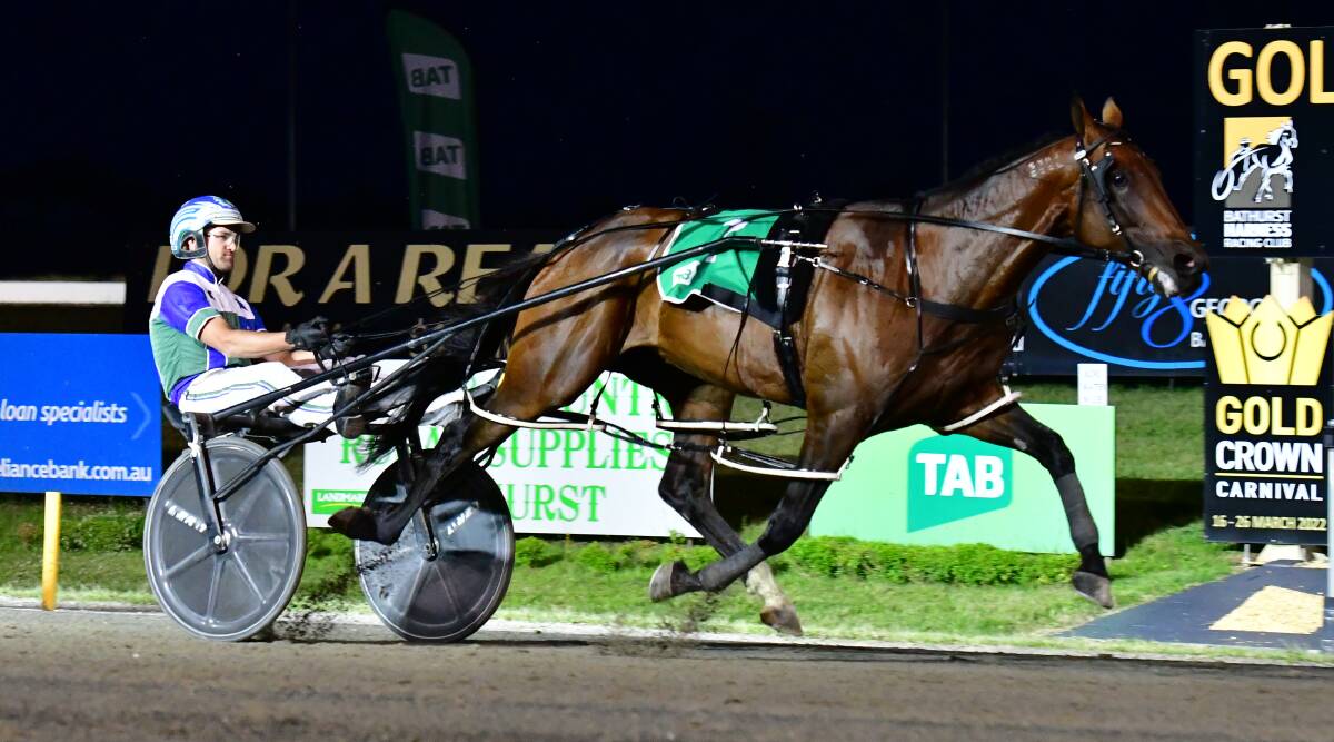STUNNING: Expensive Ego set a new Bathurst Paceway 1,730m track record with his scorching 1:50.6 mile rate during his Inter Dominion Pacing Champion heat victory earlier this month. Photo: ALEXANDER GRANT
