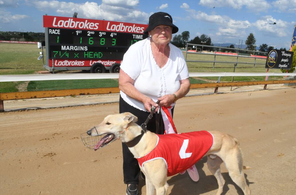 WINNER: Gilgandra trainer Merle Clarke, with her winning dog Jockey George, who claimed victory in the first race of the day at Kennerson Park on Monday. Photo:CHRIS SEABROOK 102918cdogs1