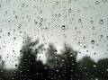 Rain drops on a window. 