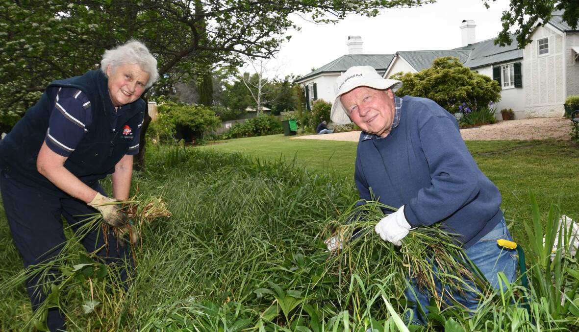 WORK: Volunteers Wendy and Alan Hyman at Miss Traill's House, preparing the grounds for the reopening. Photo: CHRIS SEABROOK 102720cmisst1
