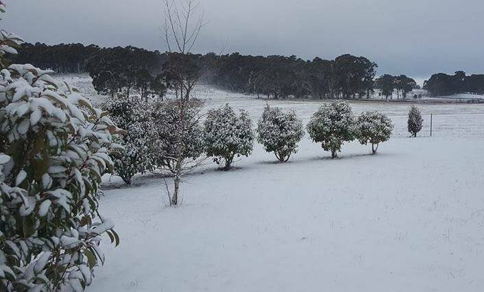 WHITEOUT: Snow in Oberon last year. There's a small chance of snow near Jenolan Caves on Thursday. Photo: LINDA GIBBONS