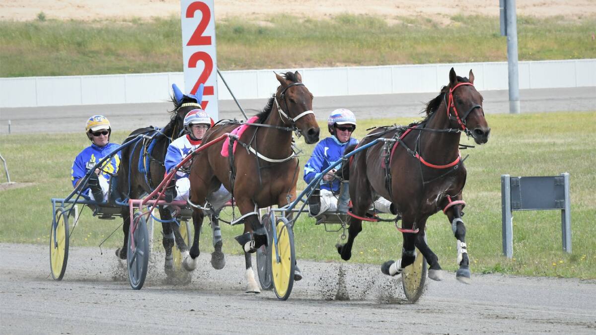 NOMINATIONS: Anthony Frisby with Our Uncle Sam, Amanda Turnbull with Ellmers Image, and Steve Turnbull with Firestorm Red. Photo: CHRIS SEABROOK 
