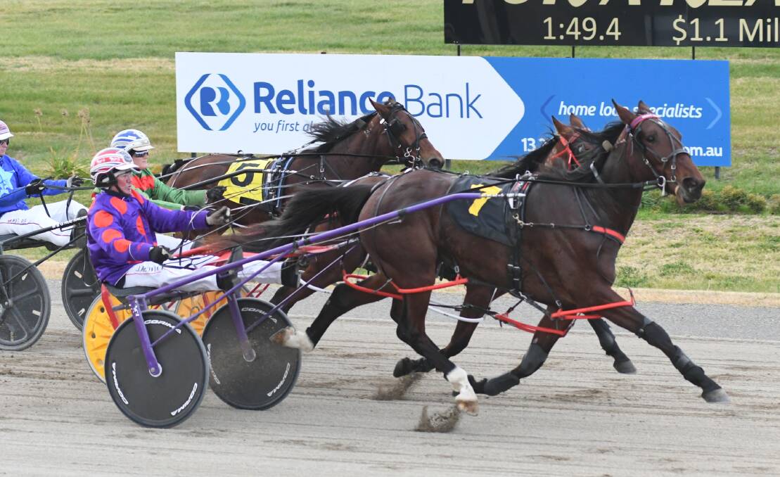 WINNER: Bernie Hewitt powered Lady Eupheme to a win at the Bathurst Paceway on Wednesday afternoon. Photo: CHRIS SEABROOK 060519ctrots