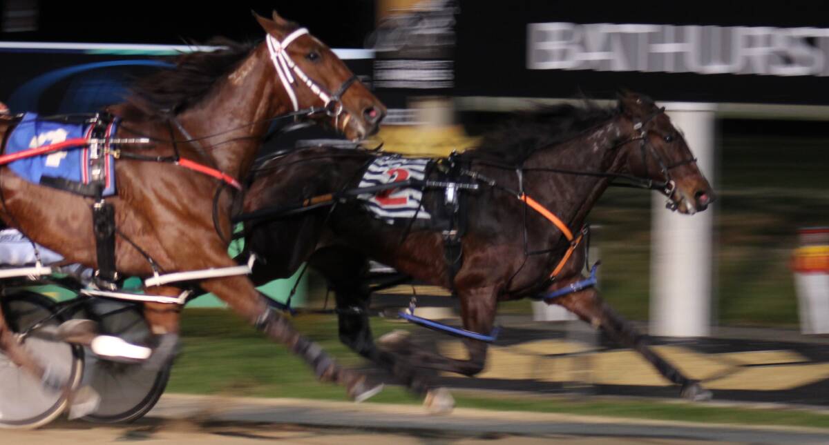FAVOURITE: Robbie Morris powers Its Mesmerise to a win at the Bathurst Paceway on Wednesday night. Photo: BRADLEY JURD
