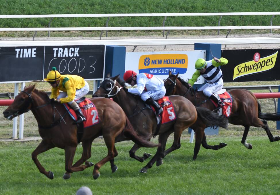 MAIDEN WIN: Engaging (pictured in yellow) pulls ahead of Eradicator and Catcha Crown to win at Tyers Park on Saturday. Photo: CHRIS SEABROOK