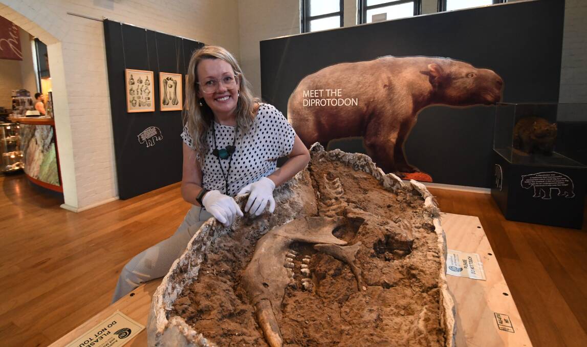 MEET DARREN: Australian Fossil and Mineral Museum coordinator Emma McLean with a jaw bone and tooth of a Diprotodon. Photo:CHRIS SEABROOK 011419cfossl3