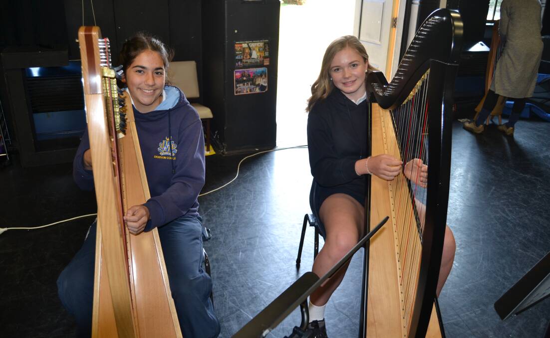 LEARNING THE ROPES: Year nine students Taylah Muller and Lucinda Begg trying out the harps at the Bathurst High Campus workshop on Friday. 