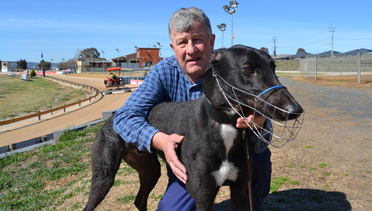 IN WITH A CHANCE: Portland trainer Peter Barnes with his two-year-old greyhound My Mate Fox, which will be in a heat on Monday for the Million Dollar Chase. Photo: BRADLEY JURD
