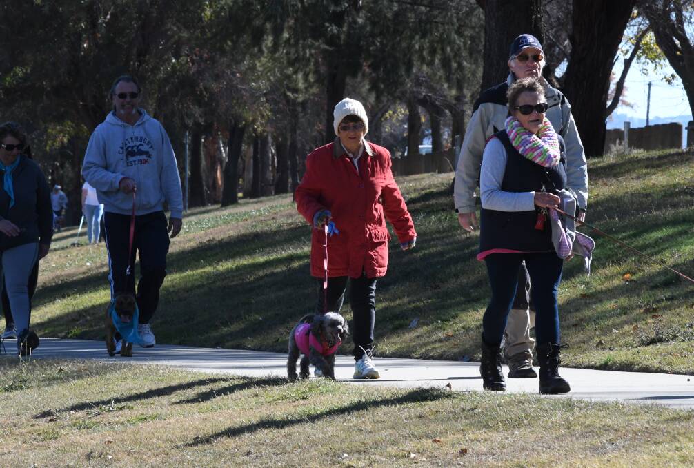 SNAPSHOT: Sunday's Million Paws Walk proved to a hit for Bathurst dog lovers. Photo: CHRIS SEABROOK
