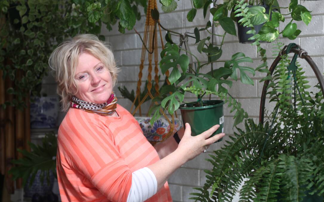 OPENING BACK UP: Mooi Plants owner Suzie New with some of her stock at her George Street shop. Photo: BRADLEY JURD