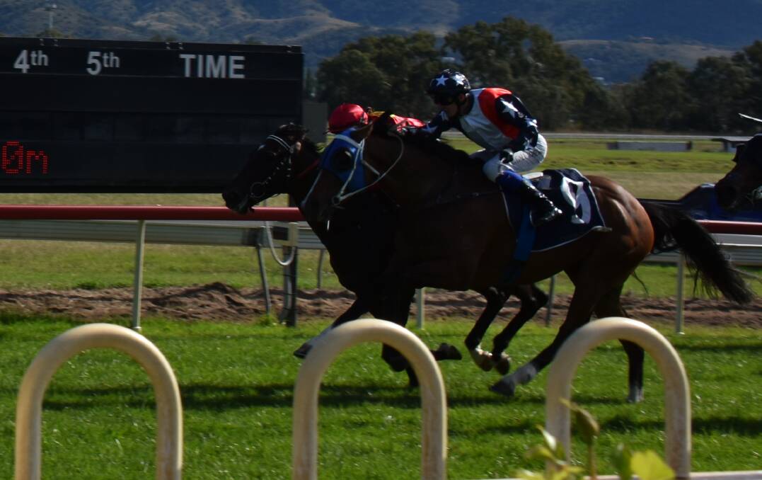 Old Harbour (inside) beats Dean Mirfin's Hamogany to the win at the Country Championship Qualifier at Mudgee on Sunday. Photo: JAY-ANNA MOBBS