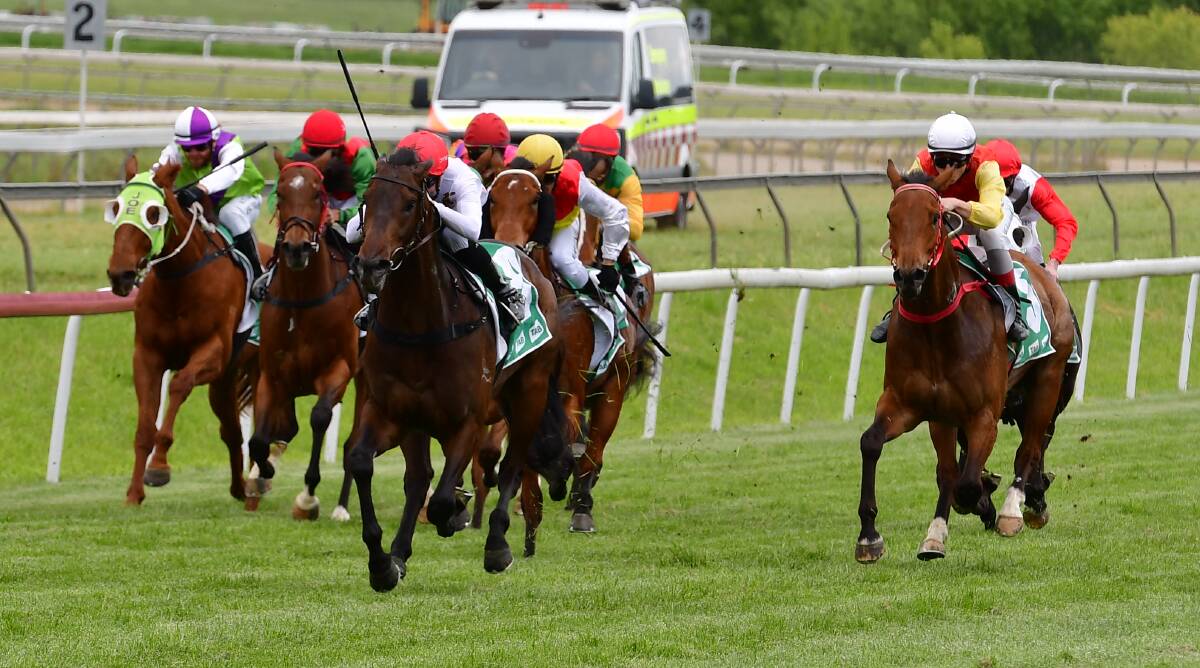 Good conditions set to be a boost for track and racegoers