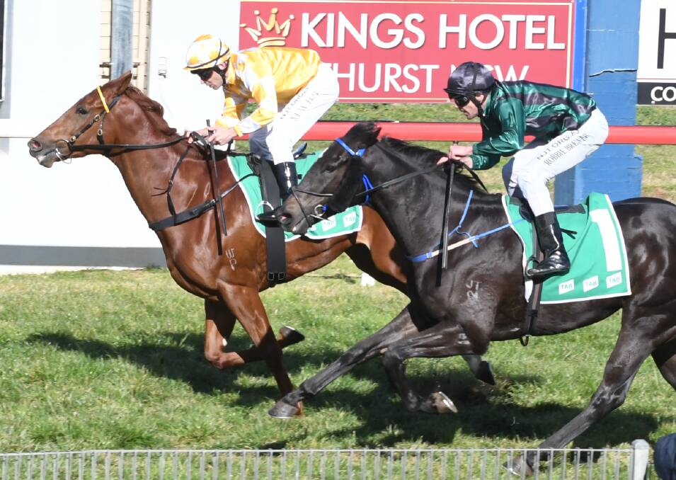 SUCCESS: Mitchell Bell rides Whitchety Grub to victory in the first race at Tyers Park on Monday for trainer Matthew Vella. Photo: CHRIS SEABROOK