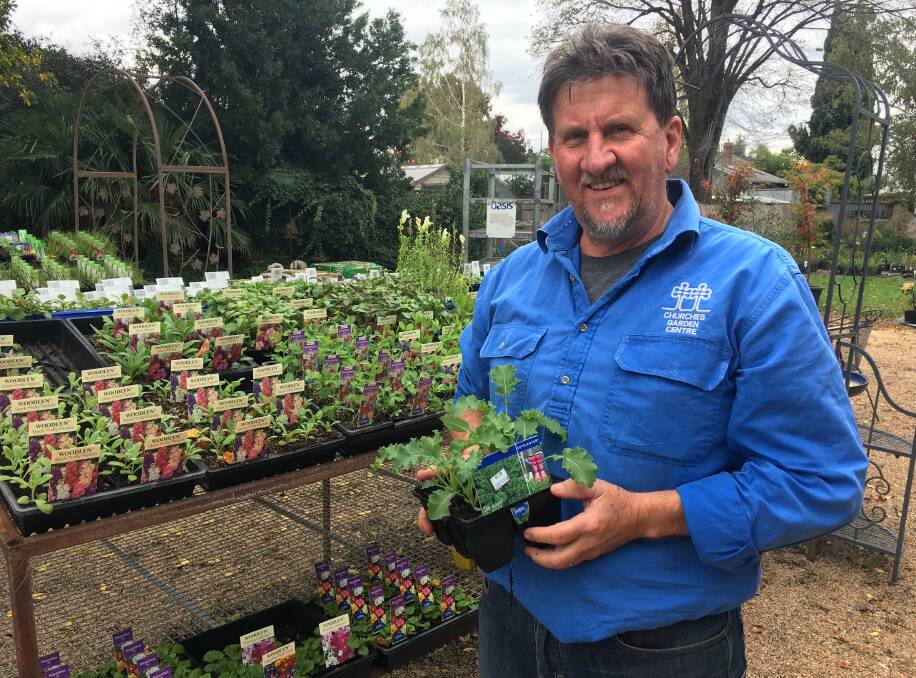 SELLING QUICK: Churches Garden Centre owner Andrew Churches said sale on seeds and vegetable seedlings have been strong in recent weeks. Photo: BRADLEY JURD