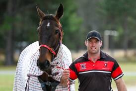 Bathurst driver Doug Hewitt with horse Ripp arriving at the Menangle retention barn on Thursday, August 31, ahead of the industry's richest race on Saturday, September 2 - The Eureka. Picture by Club Menangle