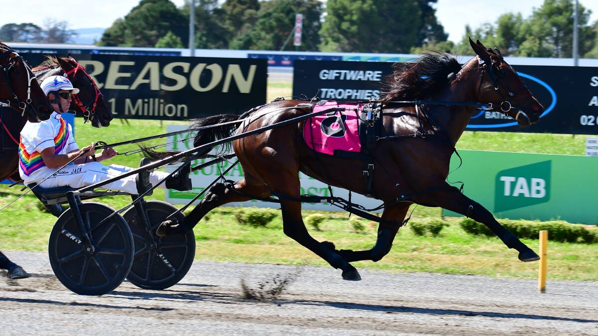 WIN: Nathan Jack drove Just Hope to victory in heat one of the Gold Bracelet. Photo: BRADLEY JURD