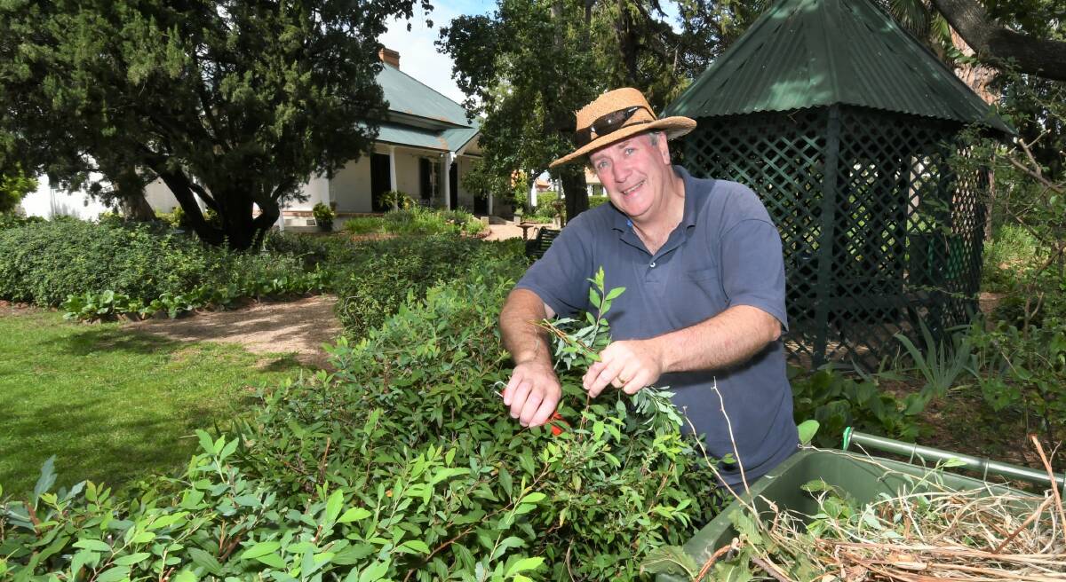 PREPARING: Miss Traill's House's head gardener Peter Cosgrove preparing for a big day on Sunday. Photo: CHRIS SEABROOK 021621cmissts