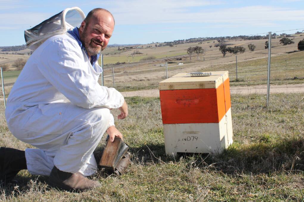 BUSY AS A BEE: Bathurst Amateur Beekeepers Association NSW president George Hancock with one of his beehives at his Georges Plains' property. Photo: BRADLEY JURD