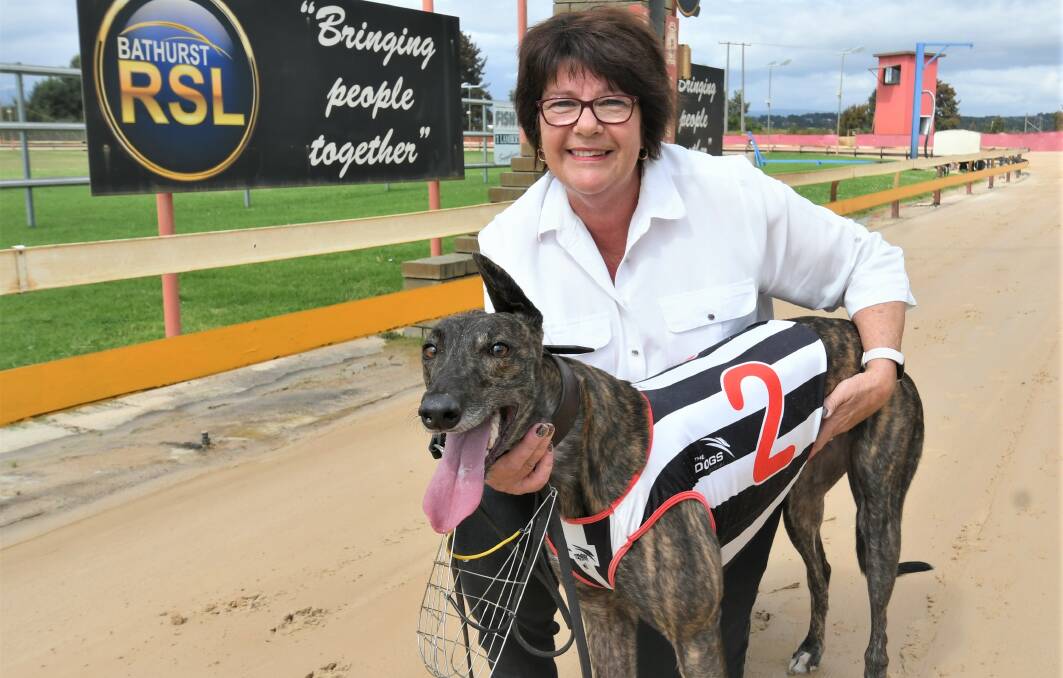 WINNER: Wimbledon owner and trainer Lynn Maney with Beena Sucess, who won the first at Kennerson Park on Monday. Photo: CHRIS SEABROOK 022822cdogs2