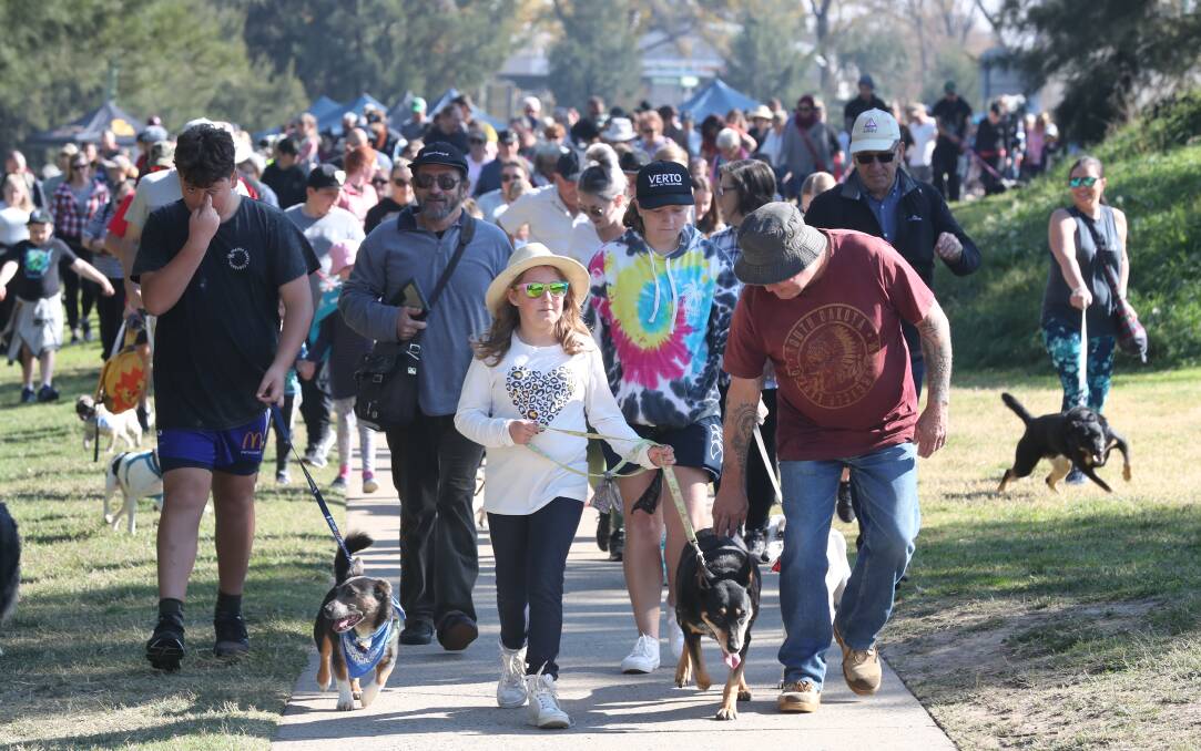 FUNDRAISER: Participants take their dogs for a walk at the last Million Paws Walk in 2019. Photo: PHIL BLATCH