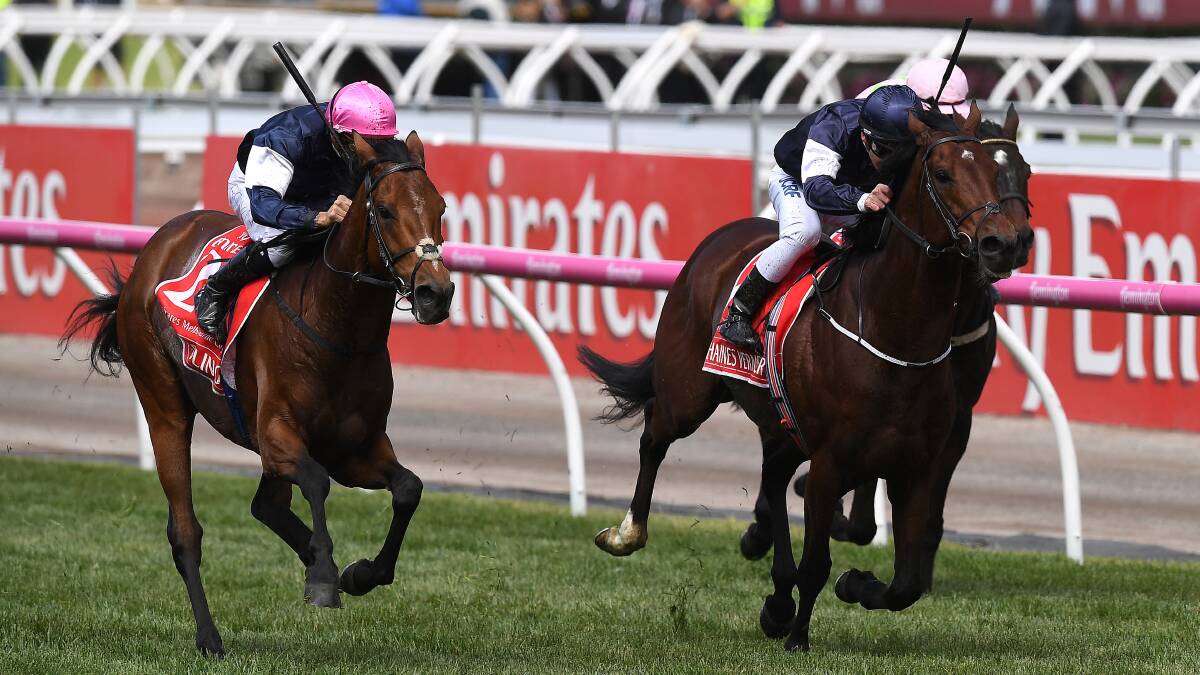 LAST YEAR'S WINNER: Corey Brown (left) rides after Rekindling to victory in the 2017 Melbourne Cup. Photo: AAP IMAGE/JULIAN SMITH