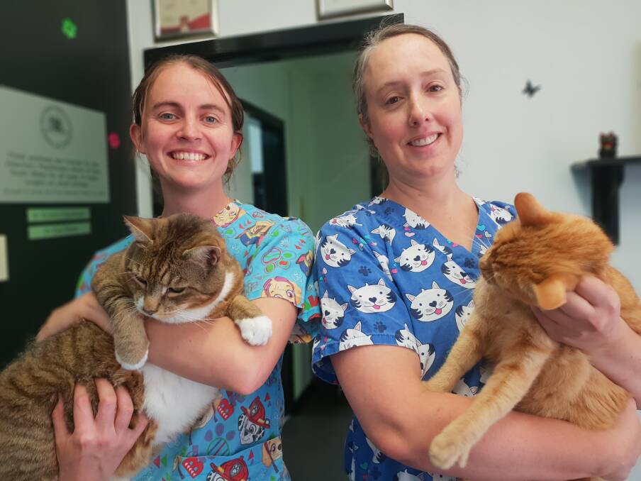 CAT CARE: Durham Street Veterinary Clinic's Dr Zoe Blank and Dr Kirsten Kingwersen, ahead of Operation Cat Bathurst. Photo: SUPPLIED