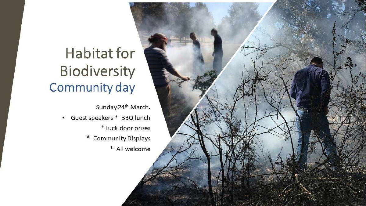 COMING UP: The Annual Habitat For Biodiversity Community Day is on again. Hosted by the Napoleon Reef Landcare group, NRGW Residents association and local RFS, this has been a popular event in past years. This year there is a focus on historical land care practices and preserving habitat into the future. The day will feature some noted speakers who are experts in their field. 