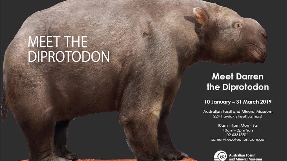 What’s on | Meet Darren the Diprotodon fossil!