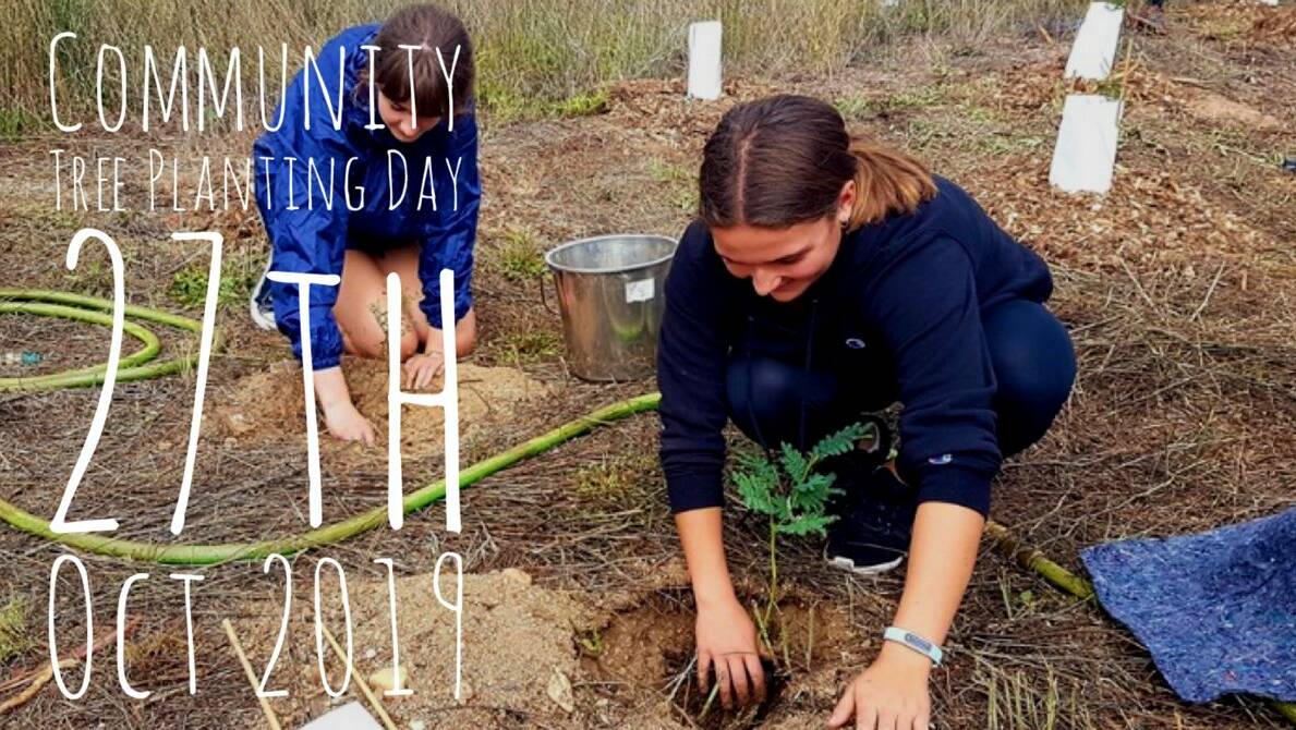 BIG THINGS GROW: Adults and kids can assist in planting native trees, shrubs and grasses at the Baillie Street open space (next to the Sydney Road bridge) on the banks of the Macquarie River from 10am on Sunday, October 27.