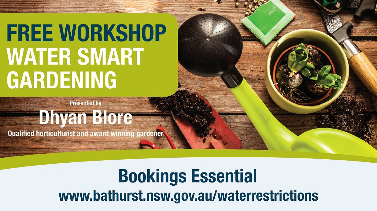 ALL THE ANSWERS: Get some tips on gardening during a hot, dry period. Weekday and weekend sessions are available. For more information or to book, visit www.bathurst.nsw.gov.au/waterrestrictions