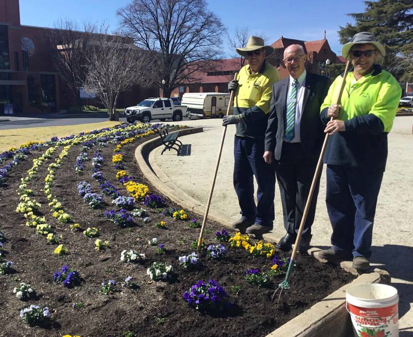BLOOMING BEAUTIFUL: Mayor Graeme Hanger with Wayne and Ray from the parks and garden team.