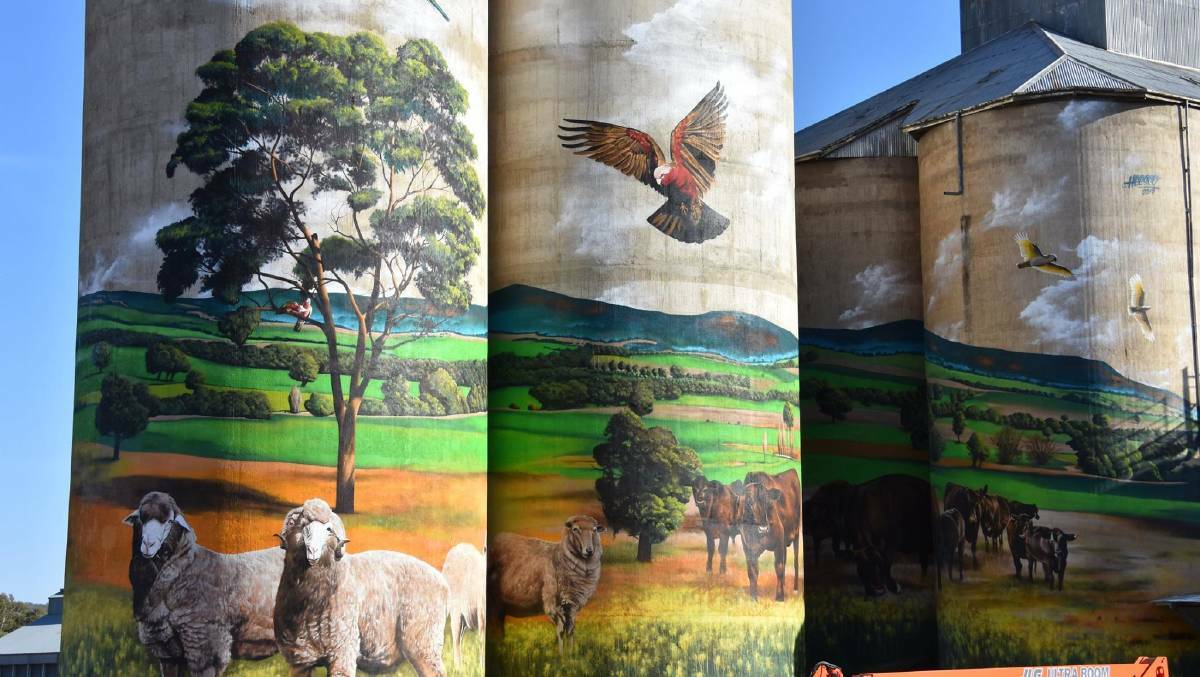 The Grenfell silo artworks were done by Heesco Khosnaran, a Mongolian, Melbourne based artist who also painted the Weethalle Silos. Photo: GRENFELL RECORD