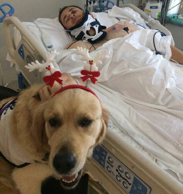 LONG ROAD AHEAD: Josh Farr with the Royal North Shore Hospital Intensive Care Unit's therapy dog Nina. Photo: JOSH'S ROAD TO RECOVERY