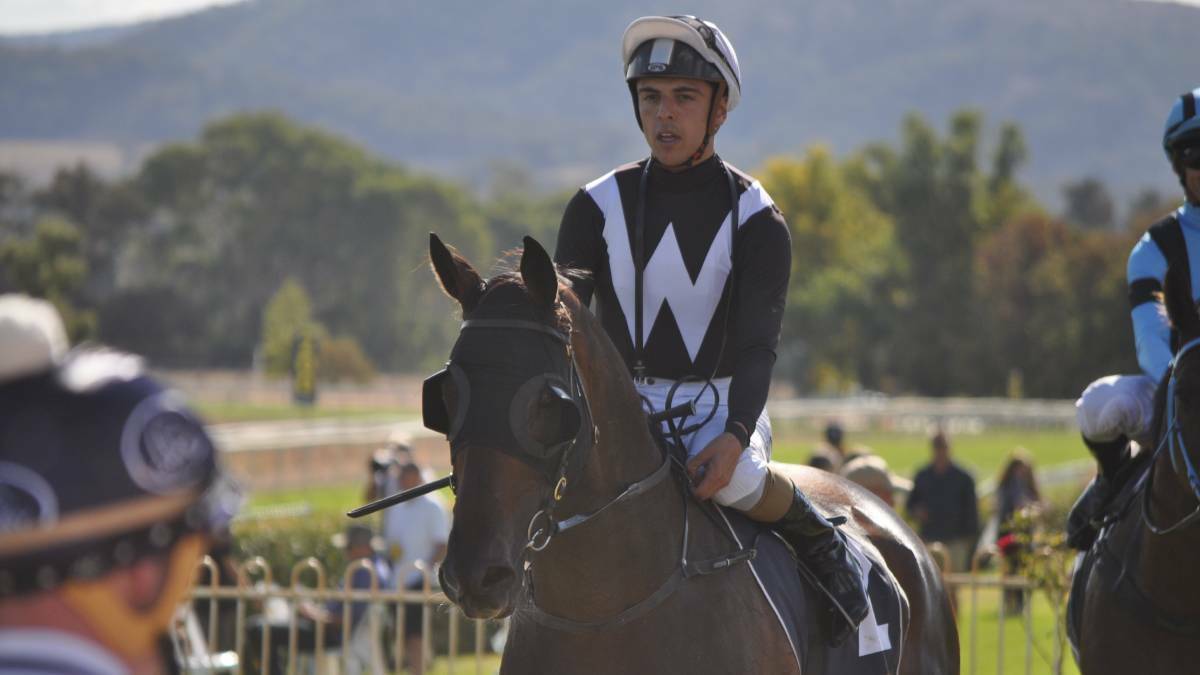 HOME STYLE: Noel's Gift is stabled at the Mudgee Racecourse and will resume their on Sunday for Bathurst trainer Gayna Williams in the cup. Photo: NICK McGRATH