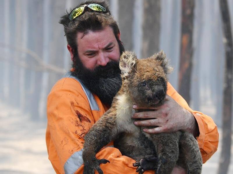 TOLL: Australia's spring and summer of bushfires had a devastating effect on native animals.