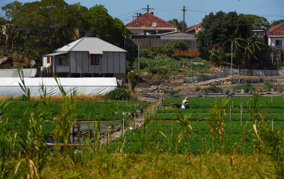 RARE: The Sydney basin's farms and market gardens are being replaced by houses. But will that create an opportunity for Central West farmers? Photo: KATE GERAGHTY