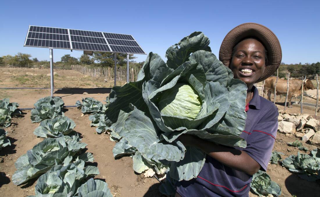 Solar-powered irrigation in Zimbabwe. Picture by David Brazier/IWMI.