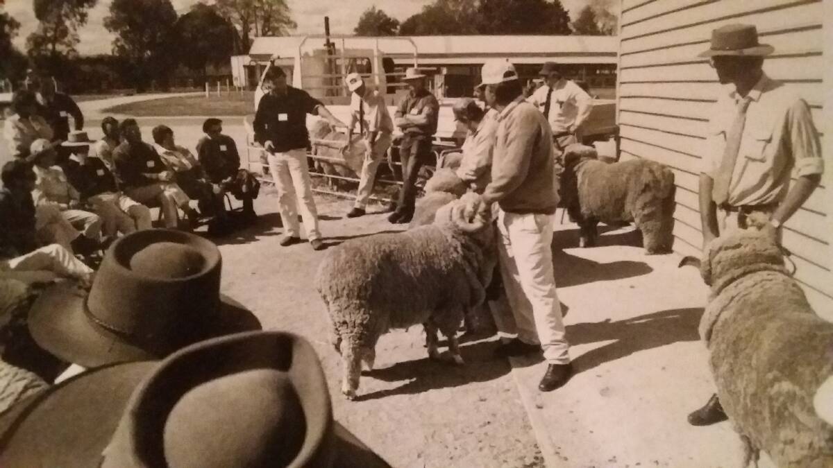 BLAST FROM THE PAST: John Roydhouse, Andy Kajons, Wal Merriman, Joan Seaman and Viv and Maureen Press can be seen in this photo taken at an Advanced Merino breeding workshop at Bathurst Showground in 1995.